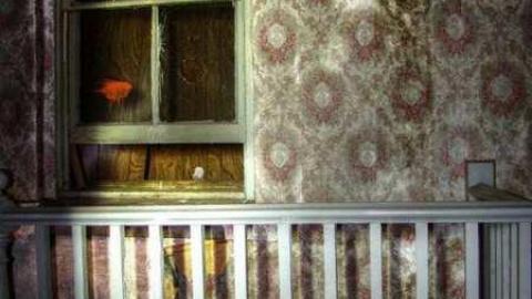 Dirt Farm, now Filthy Rich - Hurontario-Street16.jpg