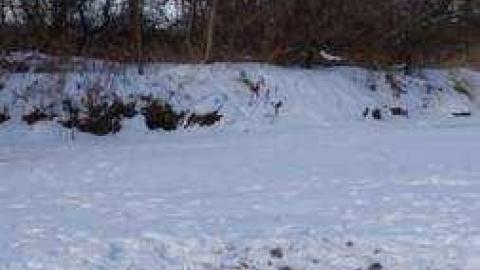 Gallery - Rouge-River22.jpg