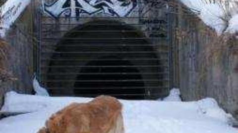 Gallery - Rouge-River21.jpg