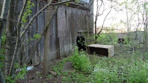 NW Corner 6th Line/ Dundas photo 4