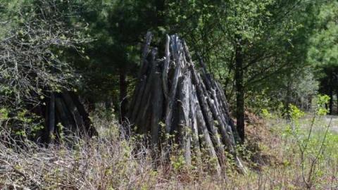 Shack in the Woods - Montague, Ontario