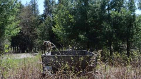 Just a Shack - Shack-in-the-Woods5.jpg