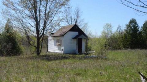 Shack in the Woods photo 4