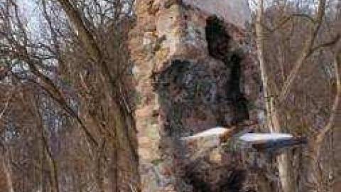 Gallery - Rouge-River20.jpg