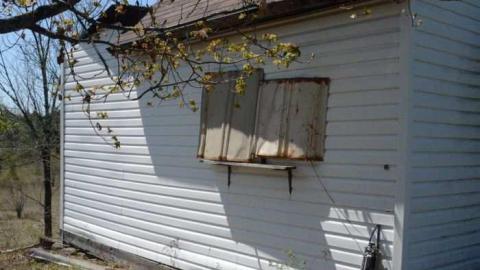 Just a Shack - Shack-in-the-Woods7.jpg