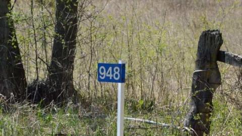 Shack in the Woods photo 2