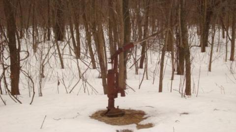 Gallery - Lombardy-School-House7.jpg