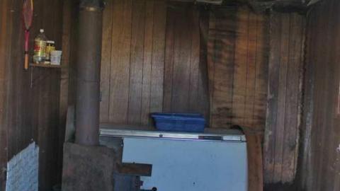 May 2012 - Golden-Moldy10.jpg