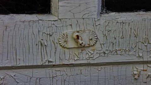 Golden Moldy - Chatham-Kent, Ontario