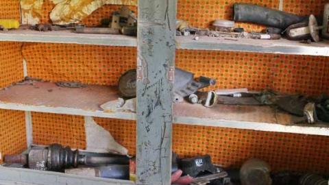 May 2012 - Golden-Moldy4.jpg