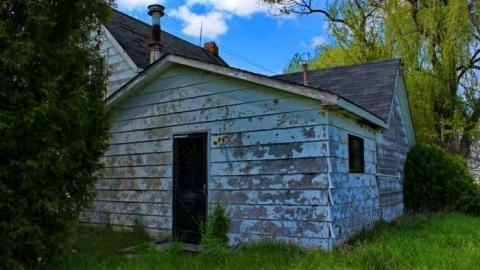 May 2012 - Golden-Moldy5.jpg