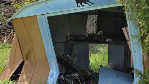 May 2012 - Golden-Moldy9.jpg