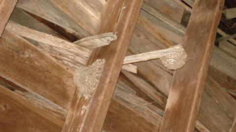 Gallery - DSC01794.jpg