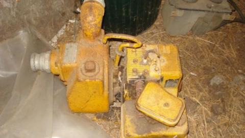 Gallery - DSC01811.jpg