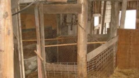 Gallery - DSC01812.jpg