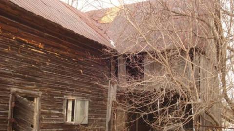 Gallery - DSC01813.jpg