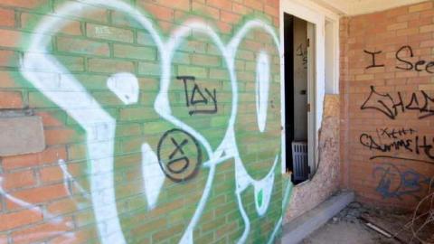 Sunday Morning Trip - Swamp-Shack18.jpg