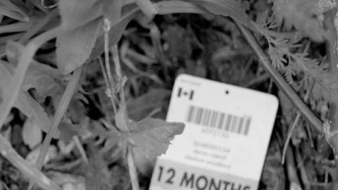 Biltmore Hats photo 5