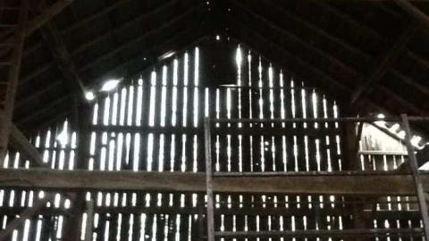 Location Scouting Photos - Tall-Red-on-86118.jpg