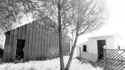 Sunday Morning Trip - The-Blues-House-Baby15.jpg