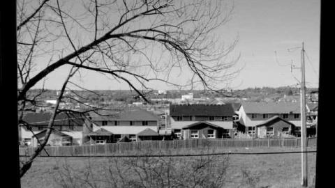 Sunday Morning Trip - The-Blues-House-Baby21.jpg