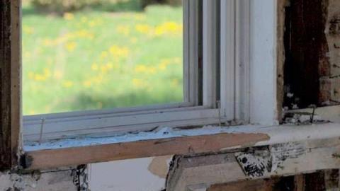 Photo from Sunday Morning Trip