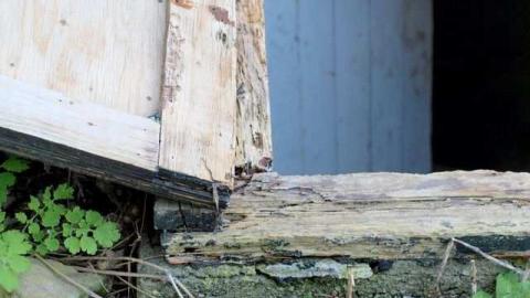 Sunday Morning Trip - The-Blues-House-Baby25.jpg