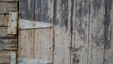 Look a little closer - Hurontario-Street113.jpg