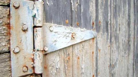 Look a little closer - Hurontario-Street114.jpg