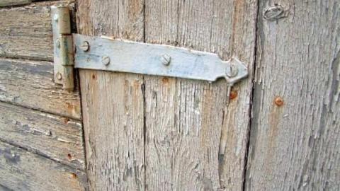 Look a little closer - Hurontario-Street115.jpg