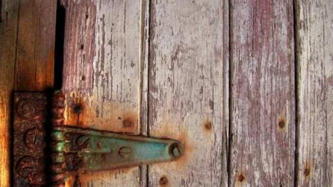 Look a little closer - Hurontario-Street116.jpg