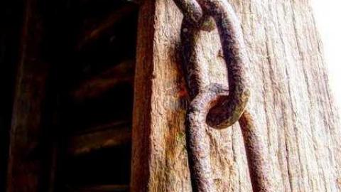 Look a little closer - Hurontario-Street119.jpg