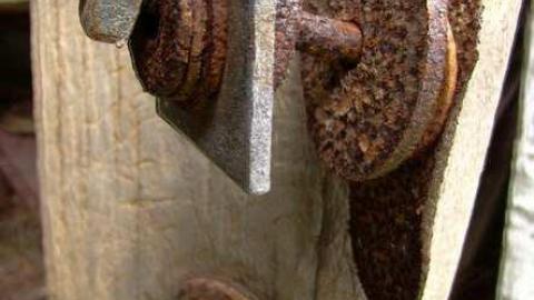 Look a little closer - Hurontario-Street120.jpg