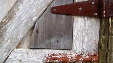 Look a little closer - Hurontario-Street37.jpg