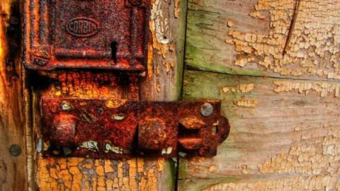 Look a little closer - Hurontario-Street39.jpg