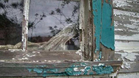 Look a little closer - Hurontario-Street40.jpg