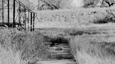 You Snooze, You Lose - BlackBerry-House38.jpg