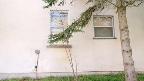 Photo from You Snooze, You Lose