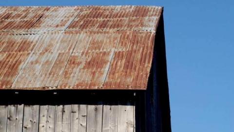 You Snooze, You Lose - BlackBerry-House42.jpg