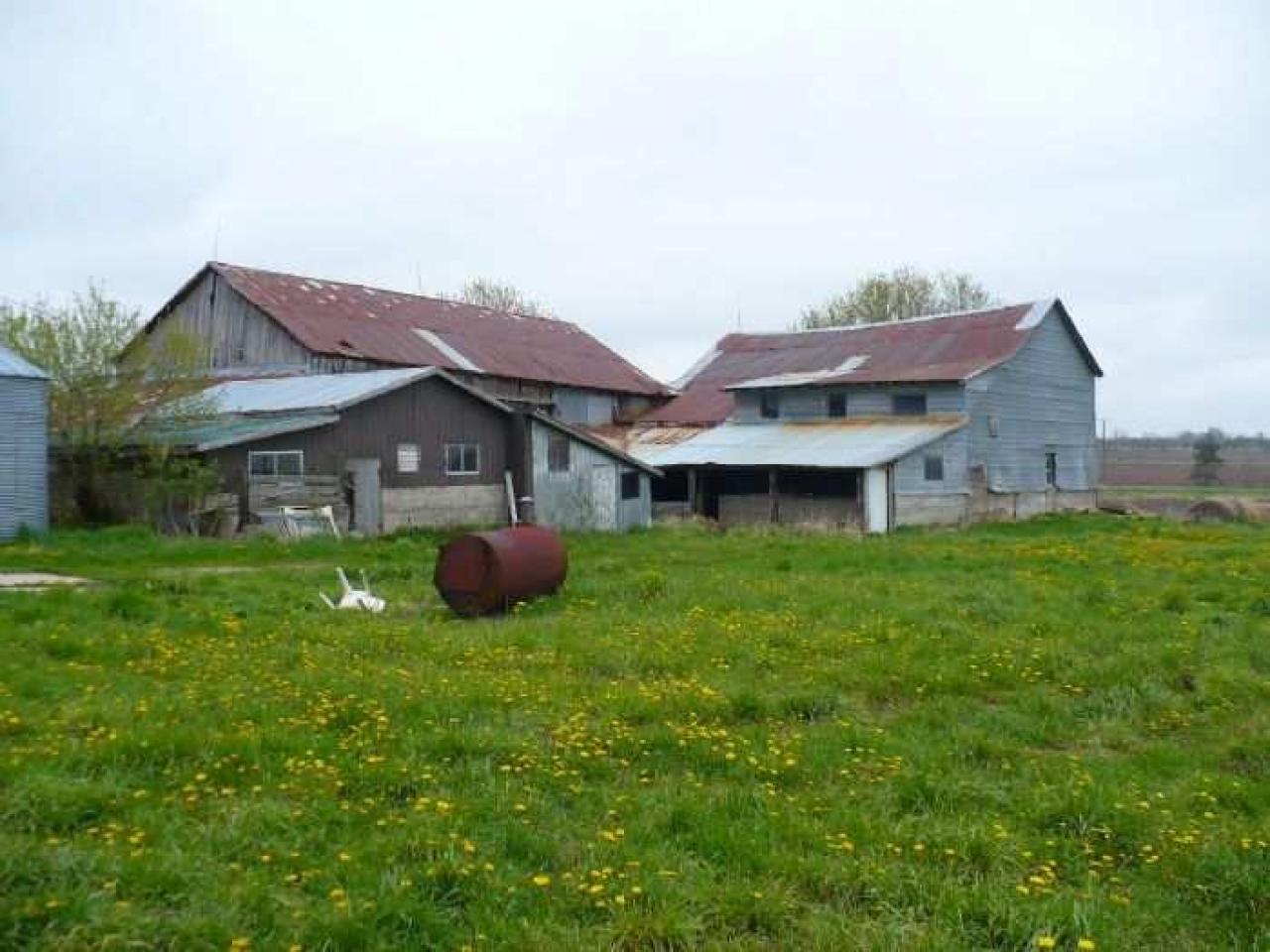 10th line May '12 - P1070364.jpg