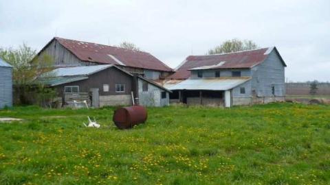 Gray on 10th Line photo 3