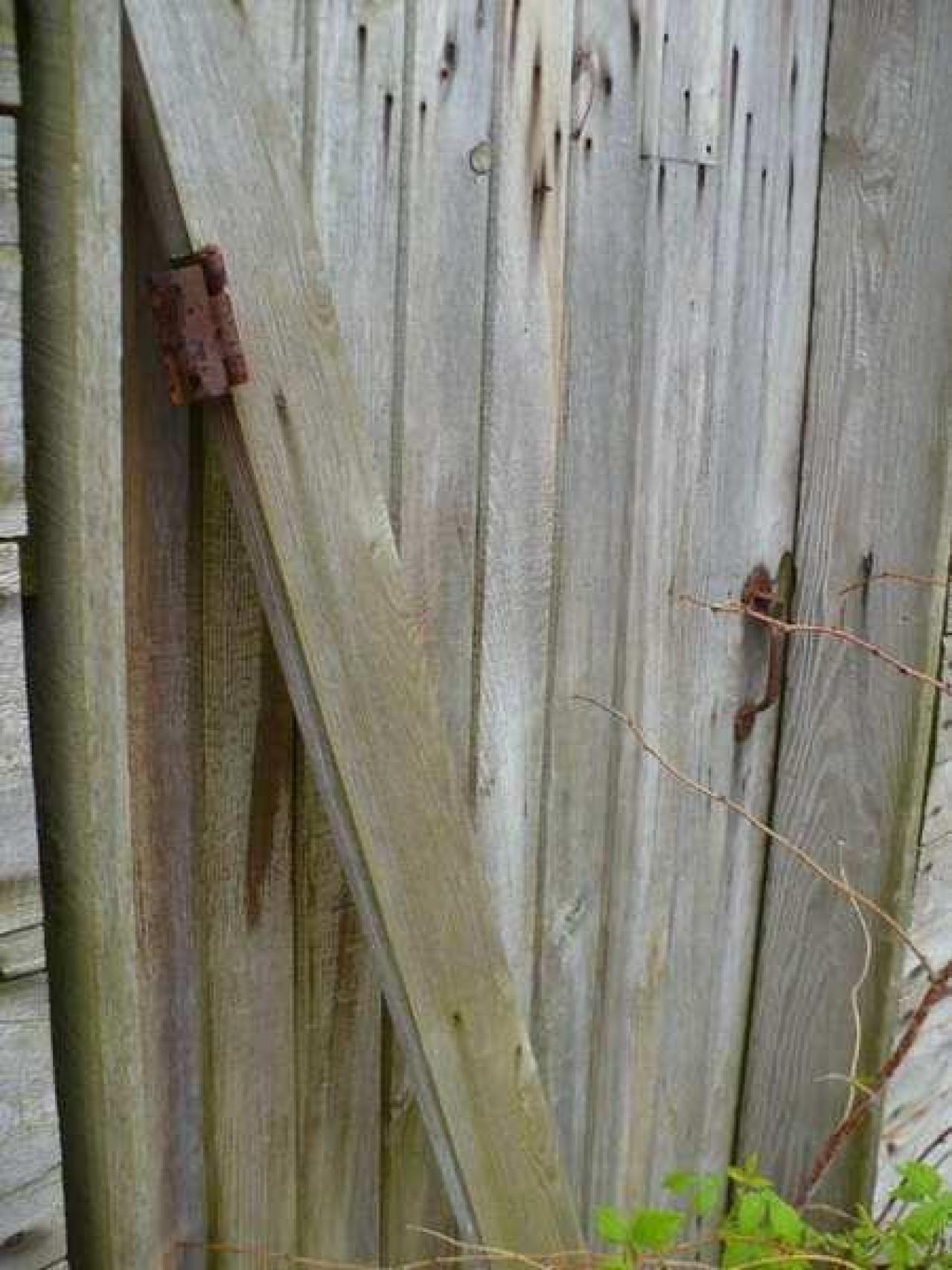 10th line May '12 - P1070370.jpg