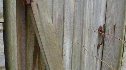 10th line May '12 - P1070370.jpg