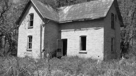 Mellow Yellow - P1070474.jpg