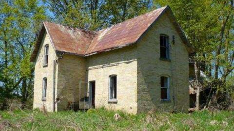 Mellow Yellow - P1070437.jpg