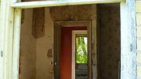 Mellow Yellow - P1070439.jpg