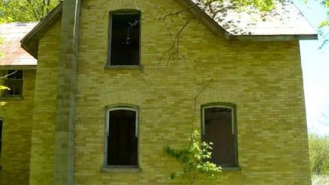 Mellow Yellow - P1070442.jpg