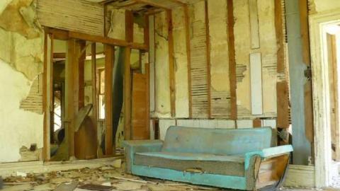 Mellow Yellow - P1070443.jpg