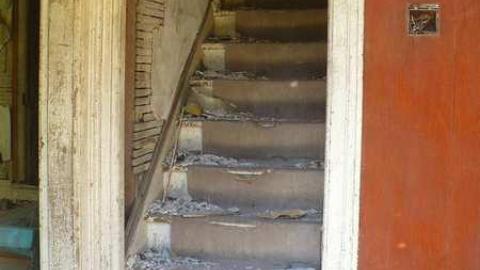 Mellow Yellow - P1070444.jpg