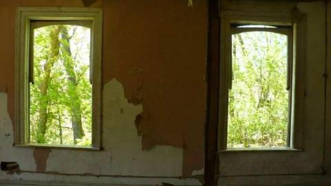 Mellow Yellow - P1070445.jpg